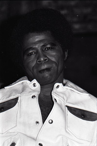 James Brown at the Sugar Shack: Brown half-length portrait