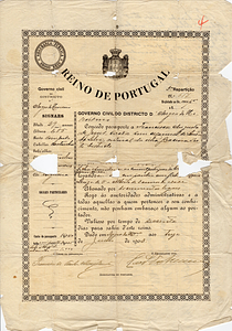 Francisca Silva Passport