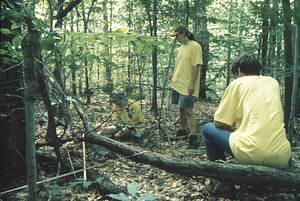 Jonah C. Wittkamper, Class of 1997, Chara A. Williams and Emilie B. Grossmann (both Williams Class of 1996), surveying the reproductive layer in milliacre plot strip of Permanent Plot 1121.