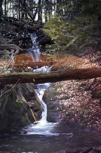 Cascade into Diana's Bath pool on South Branch Birch Brook.