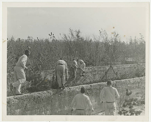 Military Training at Springfield College during World War II (ca. 1943)