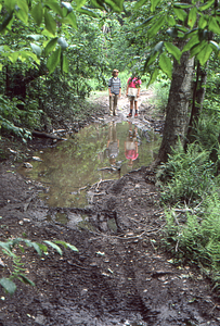 Katherine Whybrow, Williams Class of 1989, (right) and Catherine Richardson (left), Williams Class of 1988, stand in muddy portion on the Taconic Crest Trail.