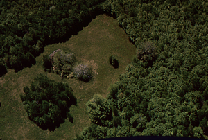Aerial oblique view clearing on Whitman property on 28 May 1972 in the Hopkins Forest.