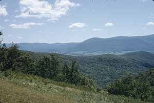 Mount Williams and Mt. Prospect from Taconic Crest Trail.