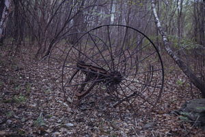 Dump hay rake abandoned in the Moon Lot, on edge of old hay meadow south of North Branch of Birch Brook. View to north.