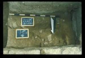 Trench 24, 1980