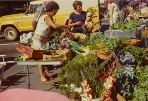 Amherst Common Market, July 10, 1976
