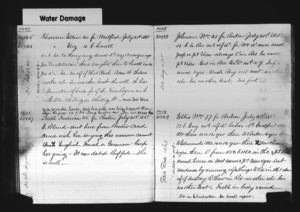 Tewksbury Almshouse Intake Record: Ellis, William