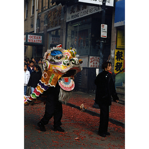 Man wears a dragon costume at celebration of Chinese New Year on Tyler Street in Boston's Chinatown