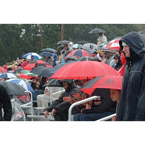 Northeastern fans watch the game in the rain