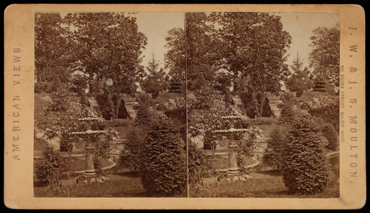 Stereograph, fountain, Potter's Grove, Arlington, Mass.