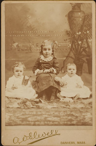 Cabinet card portrait of three unidentified Fowler family children