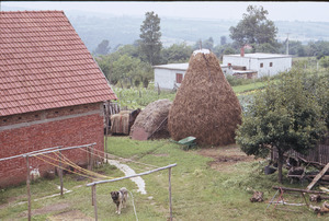 Matijašević backyard and barn