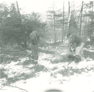 Forestry and Wildlife Management - Mt. Toby Forest