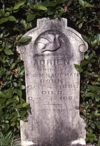 Jewish Cemetery (Baton Rouge, La.) gravestone: Kaufman, Adrien (d. 1889)