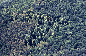 Aerial color image of "Joel Baldwin's Sentry." False Color Infrared/True Color Project.