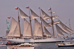 Ships passing the Statue of Liberty