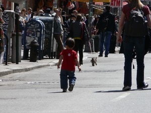 Toddler marching along in the streets to oppose the war in Iraq