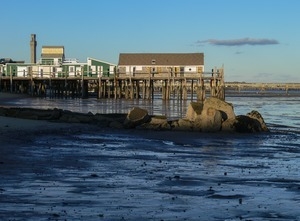 Captain Jacks Wharf and Pilgrim Monument in the background, Provincetown