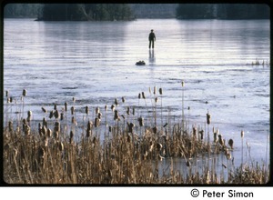 Boy skating on a frozen pond with cattails in foreground