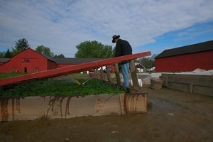 Lazy Acres Farm (Zuchowski Farm): Allan Zuchowski watering cold frames