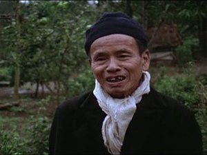 Interview with Nguyen Khac Ham, 1981