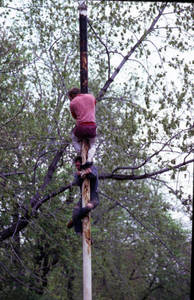 Students climbing pole on East Campus