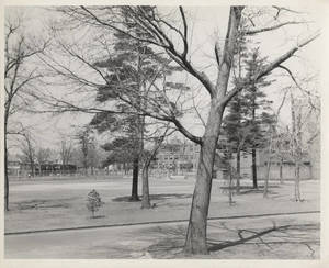 A shot from Springfield College's green space, ca. 1943