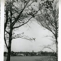 Spy Pond Views