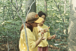 Maya Kumar watches Chara Williams (both Williams Class of 1996) coring American beech sample tree in Permanent Plot 1121.