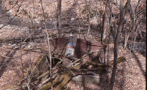 Buxton Farms spring house roof hit by fallen trees.