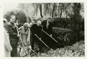 Planting a Cypress Tree, 1981