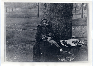 Woman with apples in Boston Common