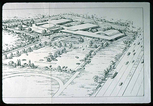 Saugus School Plan