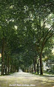 A Color Post Card Picture of Bartlett Road