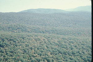 Aerial oblique view on 14 October 1971. Upper Loop Trail seen in lower center.