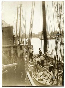 Sailboats at the dock