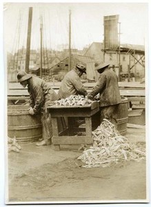 Fishermen cleaning fish on the dock