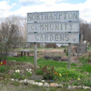 Northampton Community Gardens