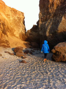 Walking Lucy Vincent Beach after thanksgiving