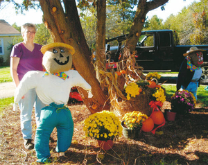 Scarecrows for solutions