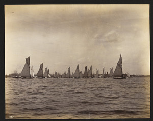 Sailboats at Start