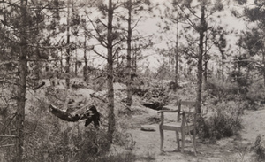 View of a chair and a hammock in front of a German dugout in the woods