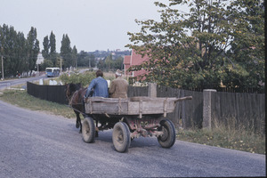 Horse cart on main road