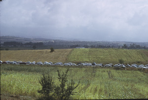 Line of cars at graveyard