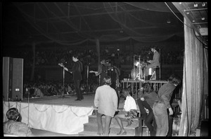 The Association in concert, Curry Hicks Cage, UMass Amherst