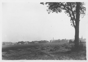 Campus Views, Fields and Gardens