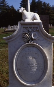 Pine Grove Cemetery (Gilmanton, N.H.) gravestone: our darling Frankie
