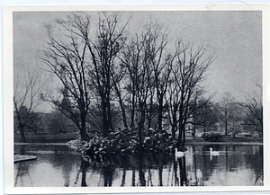 Pond in Boston Public Garden