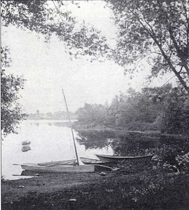 Stereograph of Lake Quannapowitt :circa 1880s